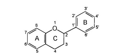 Basic flavonoid structure.