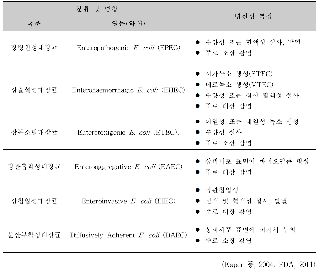 병원성대장균의 분류