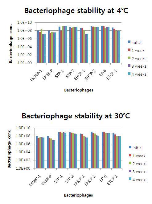 Sodium chloride solution에서 박테리오파지의 4주간 안정성 시험 결과