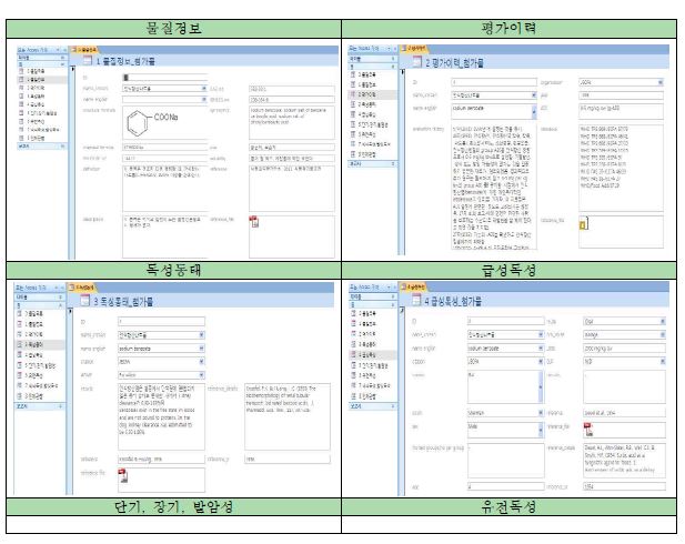 그림 11. Access database 구현 예시 (폼)