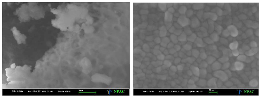 SEM images of hydrogel nano beads using sodium alginate and chitosan