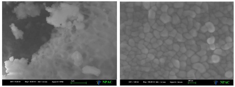 SEM images of hydrogel nano beads using sodium alginate and chitosan