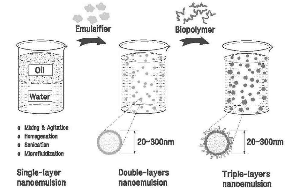 Multilayer membrane 제조기술 방법.