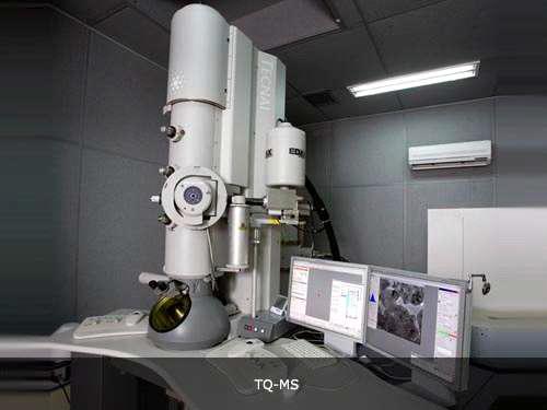 Tecnai™ Transmission Electron Microscope