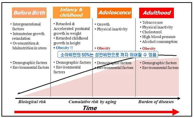 만성 질환 발달에 있어 생애주기 접근