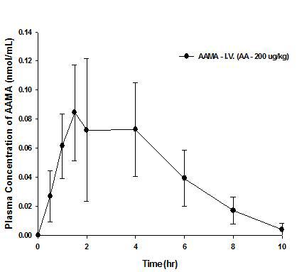 아크릴아마이드를 200 ug/kg 용량으로 단회 정맥투여 후 얻어진 아크릴아마이드MA의 평균 혈중 농도-시간곡선