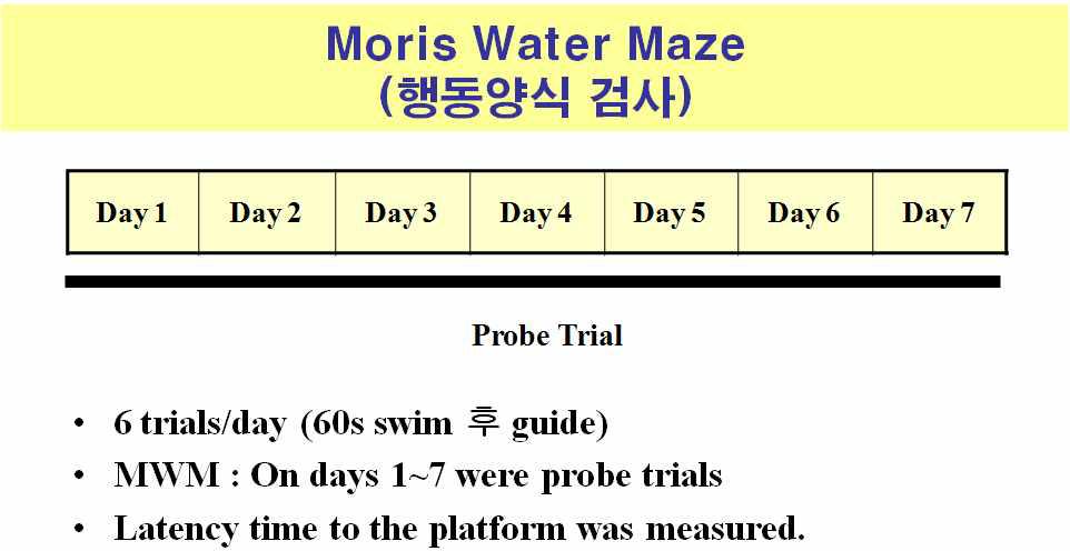 기억 및 학습능력 측정을 위한 행동양식 검사 방법인 Moris water maze의 실험 protocol.