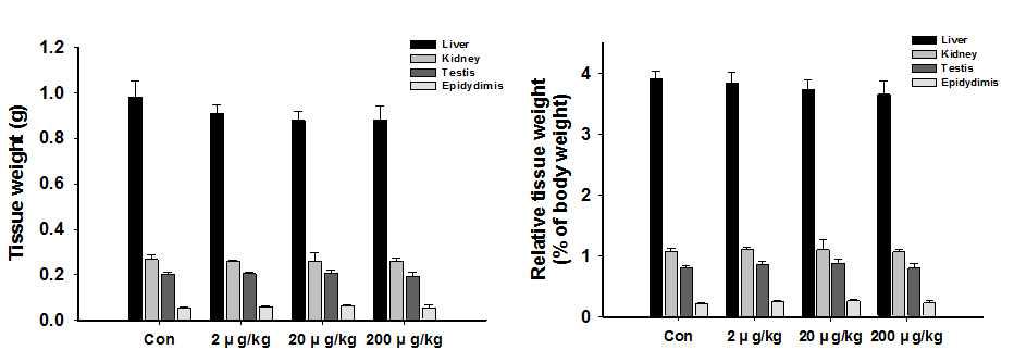 Reproductive organ weight changes in BL6 mice after acrylamide treatment for 4 weeks.