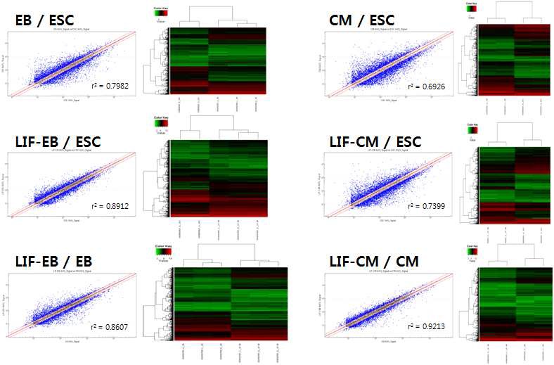 그림 21. 배아체 분화 조절에 따른 microarray 데이터의 각 군간 heatmap