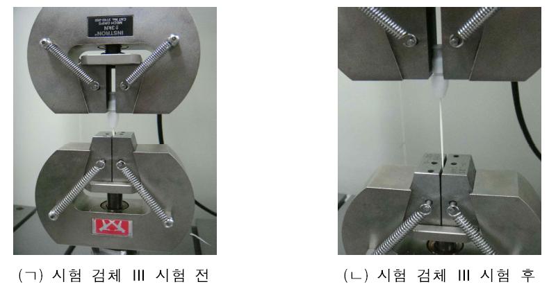 시험 검체 Ⅲ