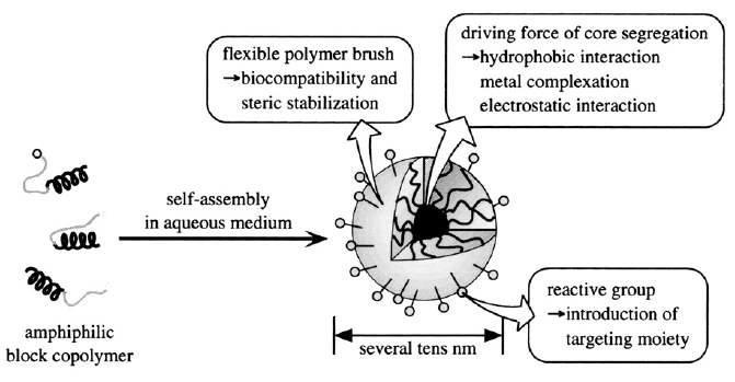 그림 5: Features of Polymeric Micelles