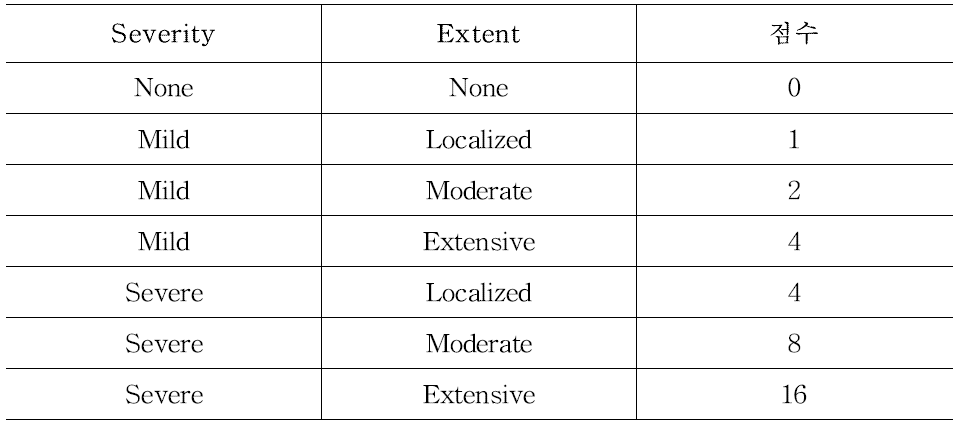 유착의 중중도(Severity)와 유착형성 범위(Extent)에 따른 점수표