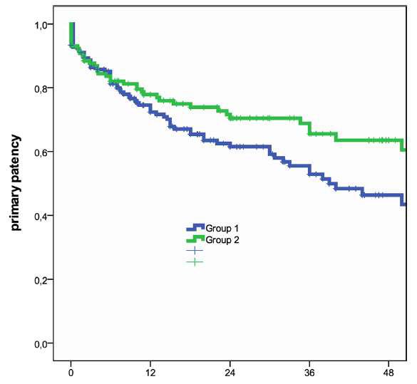 Kaplan-Meier curves for primary rates during follow-up with number of patients at risk and standard error(SE) values
