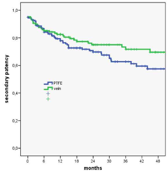 Kaplan-Meier curves for secondary patency rates during follow-up with number of patients at risk standard error(SE) values
