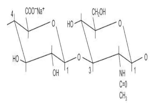 히알루론산(HA) 단위체 단위(monomeric unit)