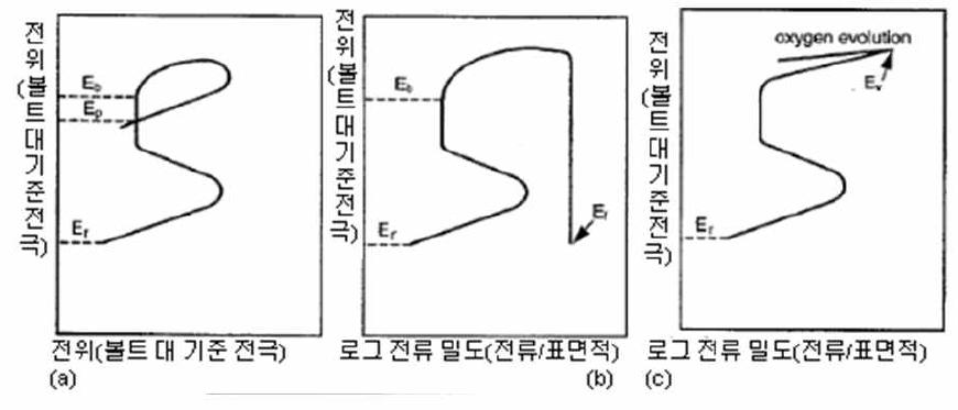 부식 파라미터를 예시하는 순환 동전위 곡선의 개략도