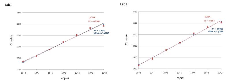 그림 5. qPCR 표준곡선 생성시 사용되는 template 비교.