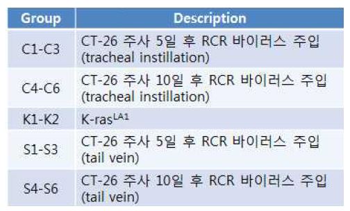그림 7. 실험에 사용된 동물의 그룹 및 그룹별 설명