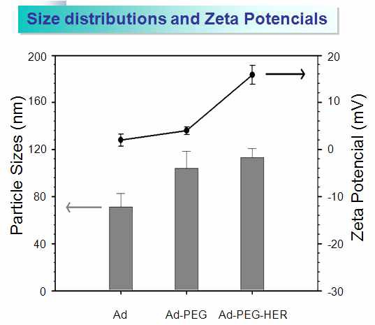 그림. 7 DLS, zeta potential를 이용한 고분자 결합 아데노바이러스 복합체의 크기 및 전하 측정