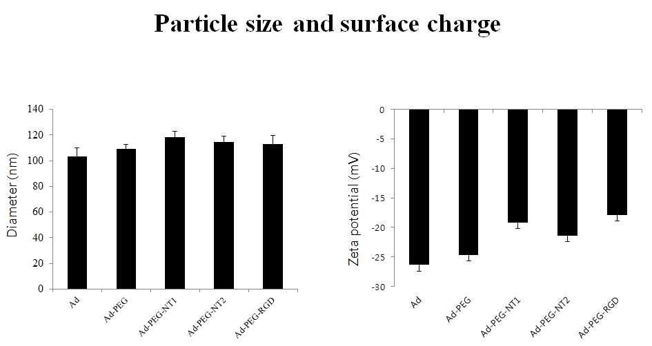 그림. 9 DLS, zeta potential를 이용한 고분자 결합 아데노바이러스 복합체의 크기 및 전하 측정
