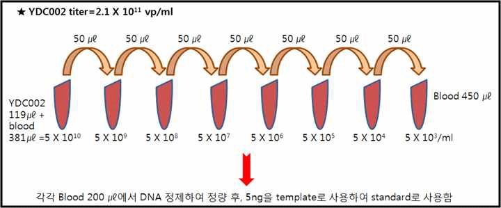 그림 16. PK 활성 측정을 위한 아데노바이러스 표준용액(standrad curve)준비