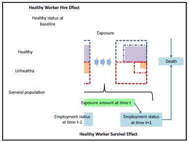 그림 13. 건강근로자효과의 작용기전
