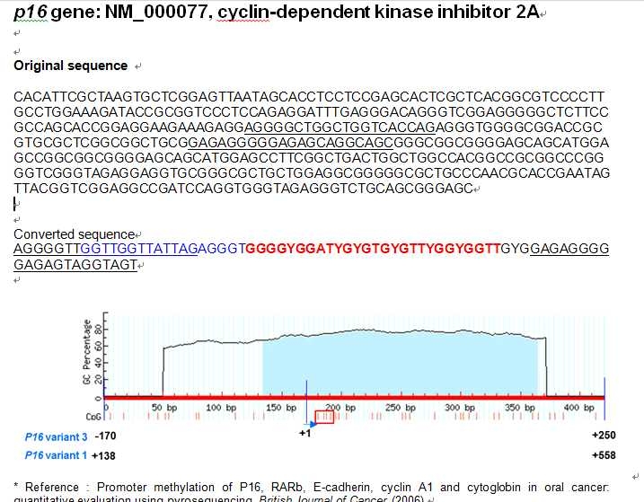 그림 22. p16 유전자의 PCR primer와 amplicon