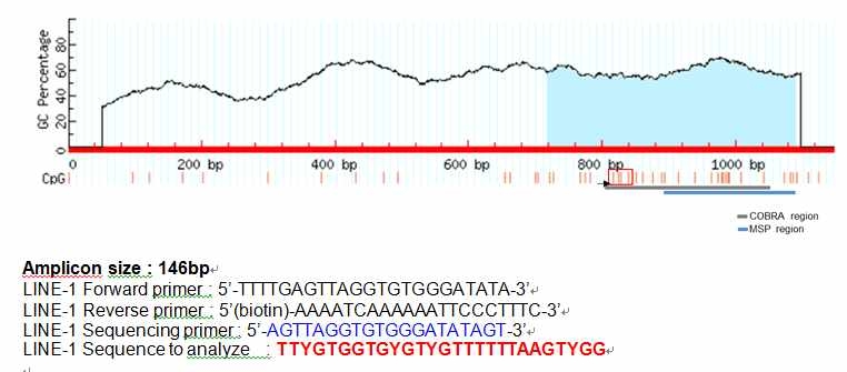 그림 23. LINE1의 PCR primer와 amplicon