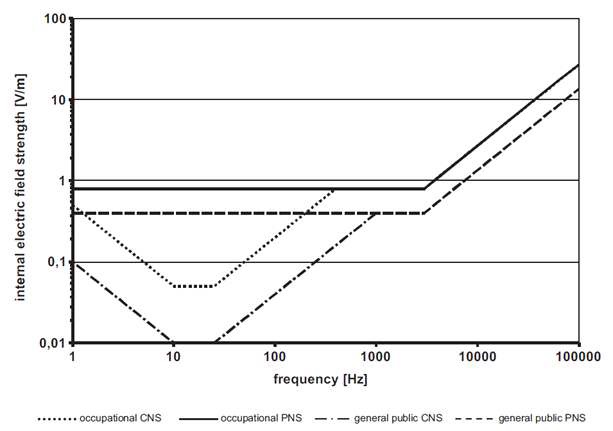 그림 2-6. CNS와 PNS 영향을 고려한 내부 전기장강도의 기본제한