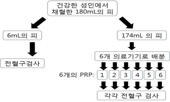 실험디자인