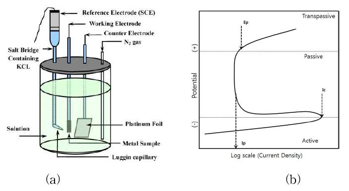 전기화학적 부식셀의 모식도(a) 및 동전위 분극 시험의 주요 측정 인자(b)