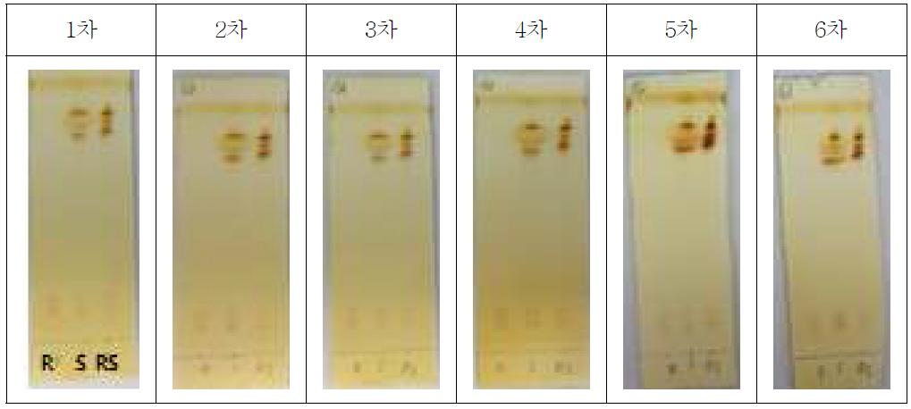 베타메타손디프로피오네이트 • 겐타마이신 황산염 크림의 개선시험법 TLC 반복 분석 결과