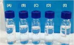 L-무스콘의 용해상태 (A ) 클로로포름, (B) 에테르, (C) n-헥산 (D) 에탄올, 그리고 (E) 메탄올.