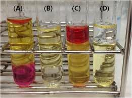 브롬화칼슘 수화물의 철 시험 용해 용매 (A ) 클로로포름, 요오드화칼륨 (양성대조군), (B) 클로로포름, (C) 톨루엔, 요오드화칼륨 (양성대조군) (D) 톨루엔.