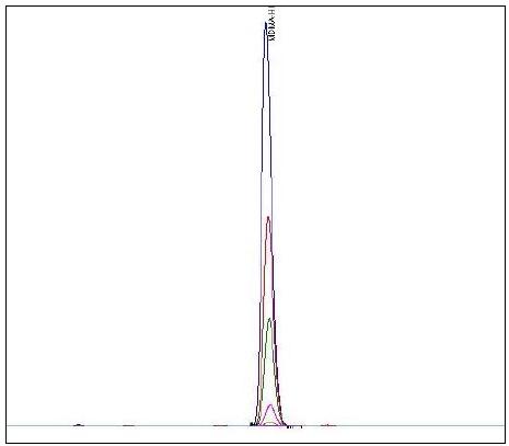 HPLC chromatograms of linearity test