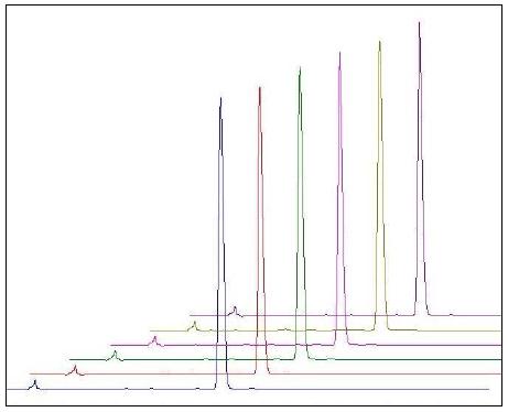 HPLC chromatograms of reproducibility test