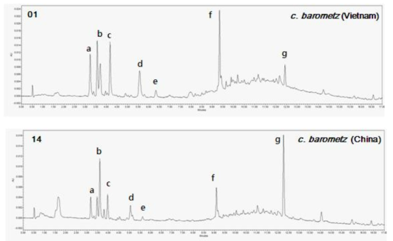 UPLC-UV chromatograms of C. barometz extract ((a)