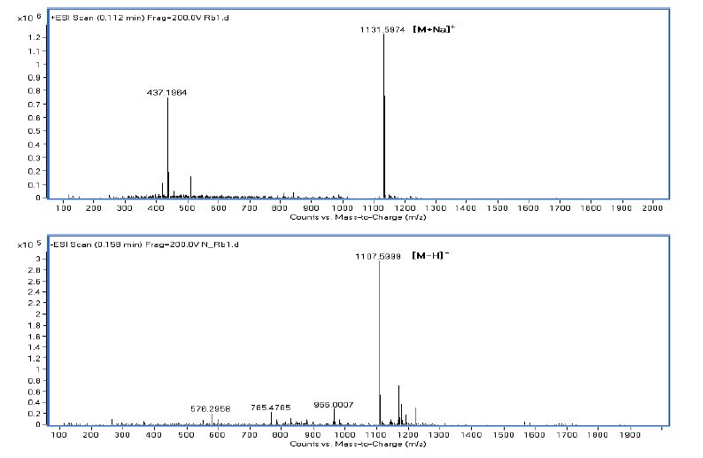 그림 10 Ginsenoside Rb1의 LC-ESI-QTOF/MS (calcd for C54H92O23 (1109.3))