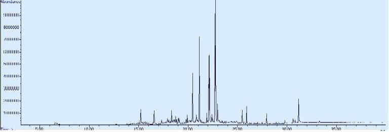 지황 원료의 GC그래프
