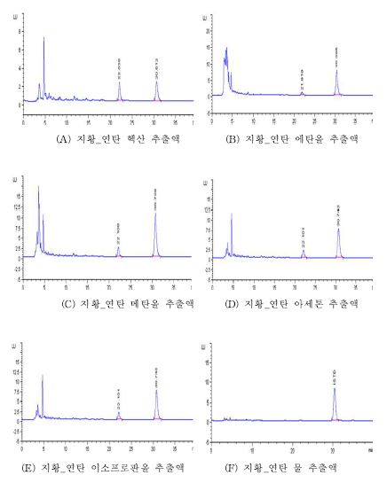 지황_연탄의 추출용매별 크로마토그램