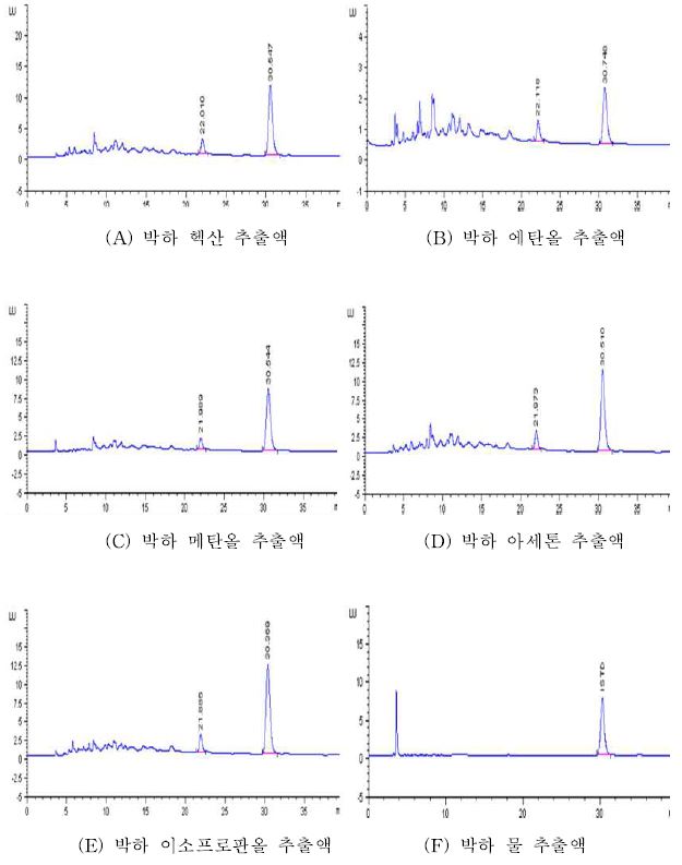 박하의 추출용매별 크로마토그램