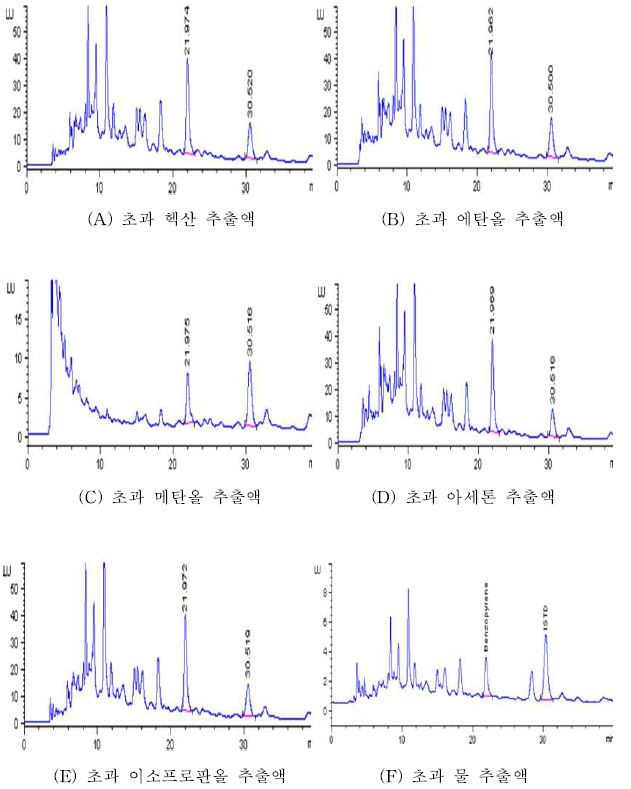 초과의 추출용매별 크로마토그램