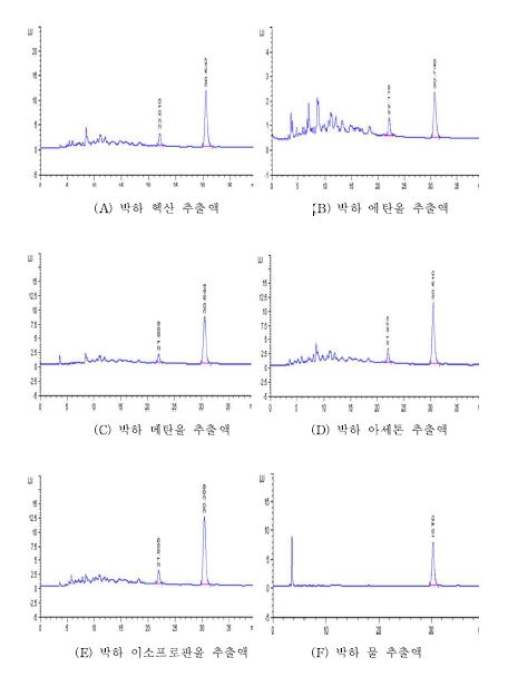 박하의 추출용매별 크로마토그램
