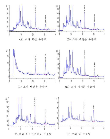 초과의 추출용매별 크로마토그램