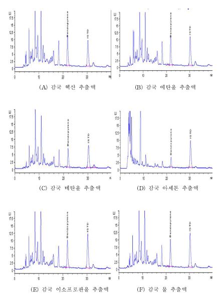 감국의 추출용매별 크로마토그램