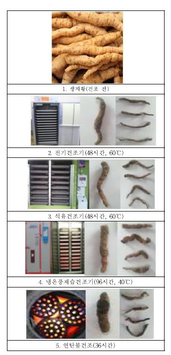 지황의 건조 가공공정 조건