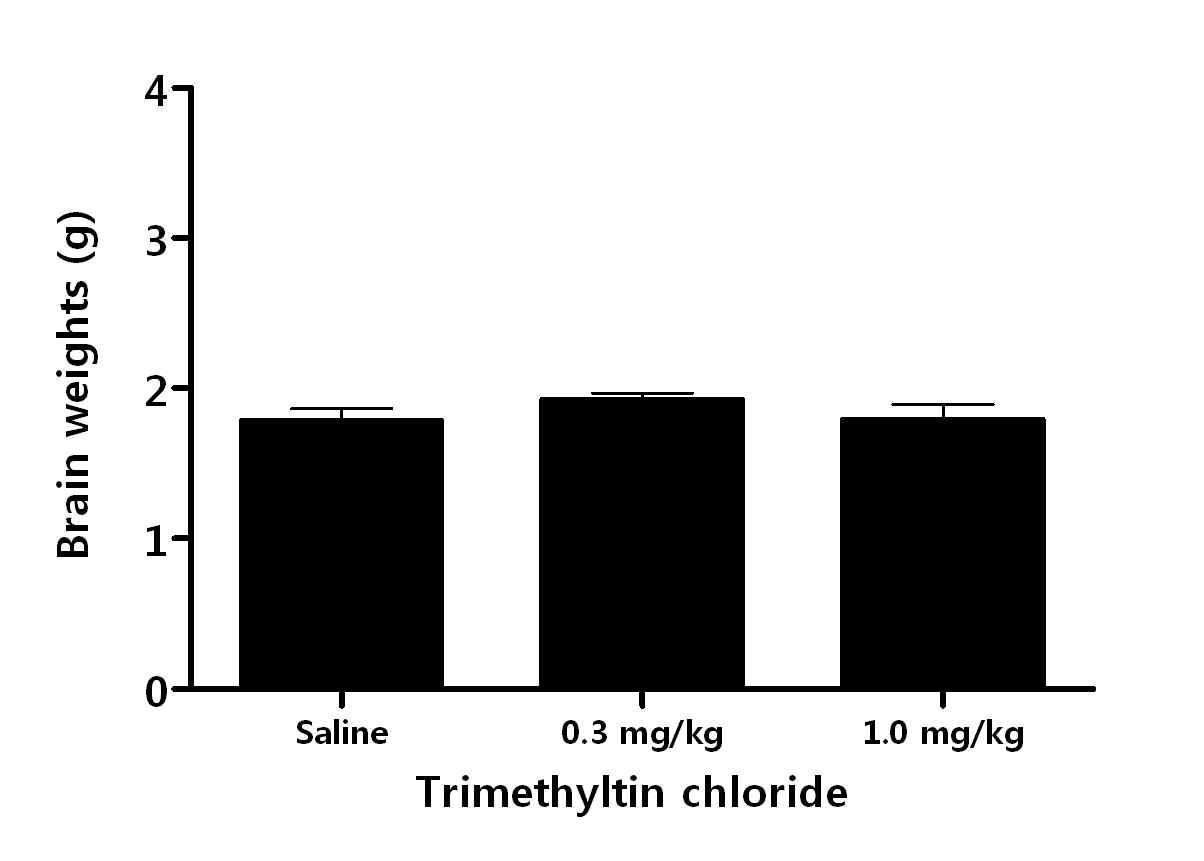 Trimethytin chloride를 주 5회, 2주 반복 투여한 Wistar rat의 뇌 무게 변화