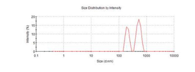 산화아연 (ZnO) 20 nm의 hydrodynamic size