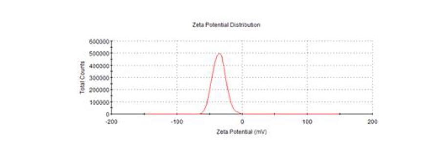 산화아연 (ZnO) 20 nm-negative의 zeta potential