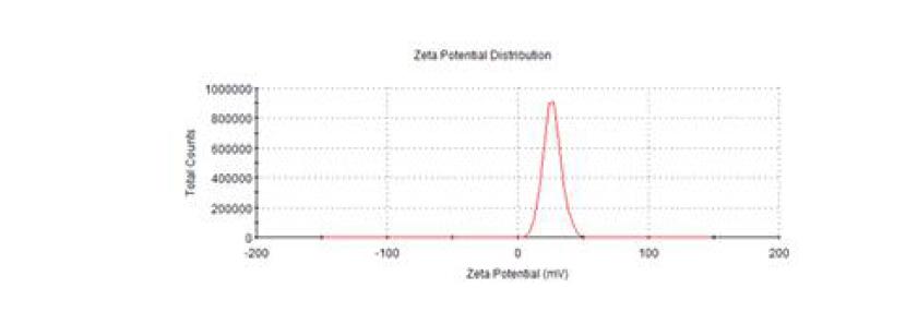 산화아연 (ZnO) 100 nm-positive의 zeta potential